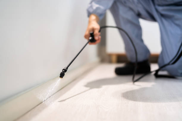 Licensed Termite Control service in Okolona, MS - Nex Pest Control