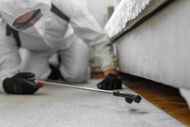 Professional Termite Control technician working in Okolona, MS