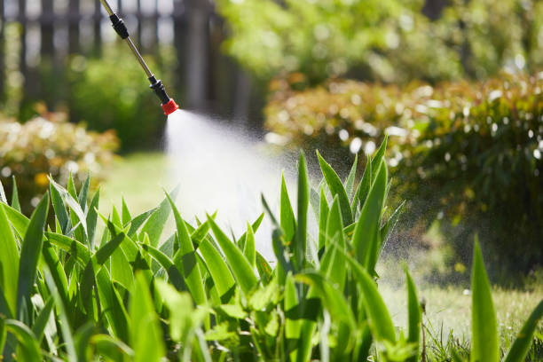 24/7 Emergency Termite Control experts in Okolona, MS