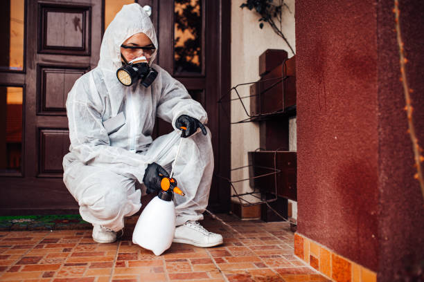Reliable Termite Control contractor in Okolona, MS by Nex Pest Control